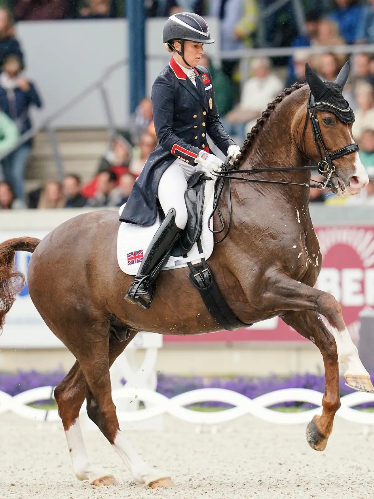 Bild zu: "Reitstar quälte Pferd – lange Sperre für Olympiasiegerin"