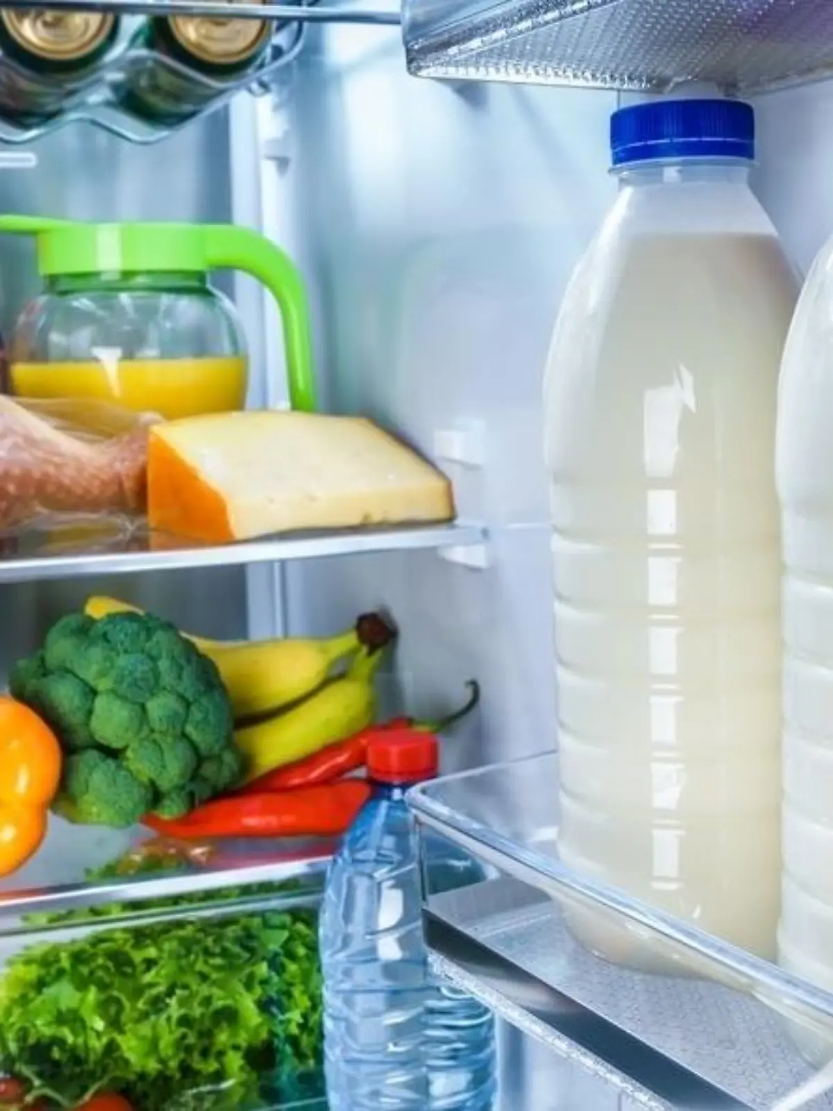 Bild zu: "Experten raten: Milch nie in der Kühlschranktür lagern"