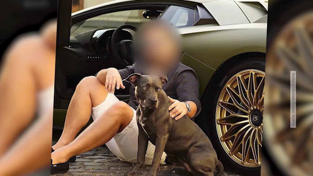 Auf Instagram protzte er mit dicken Karren – doch für seinen Prozess in Frankfurt ist Habiballah F. offenbar nicht Mann genug. Er soll vor der Strafverfolgung geflüchtet sein und sich in den Iran abgesetzt haben.