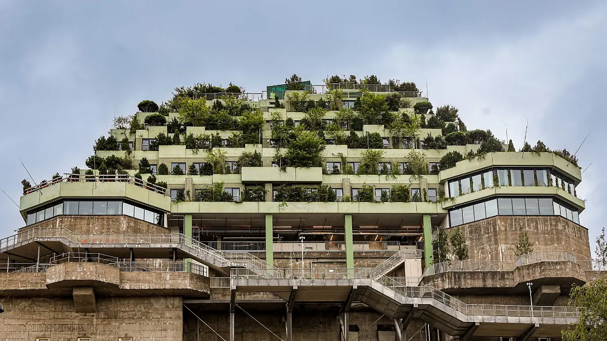 Tausende Menschen laufen jede Woche auf den begrünten Bunker am Heiligengeistfeld.