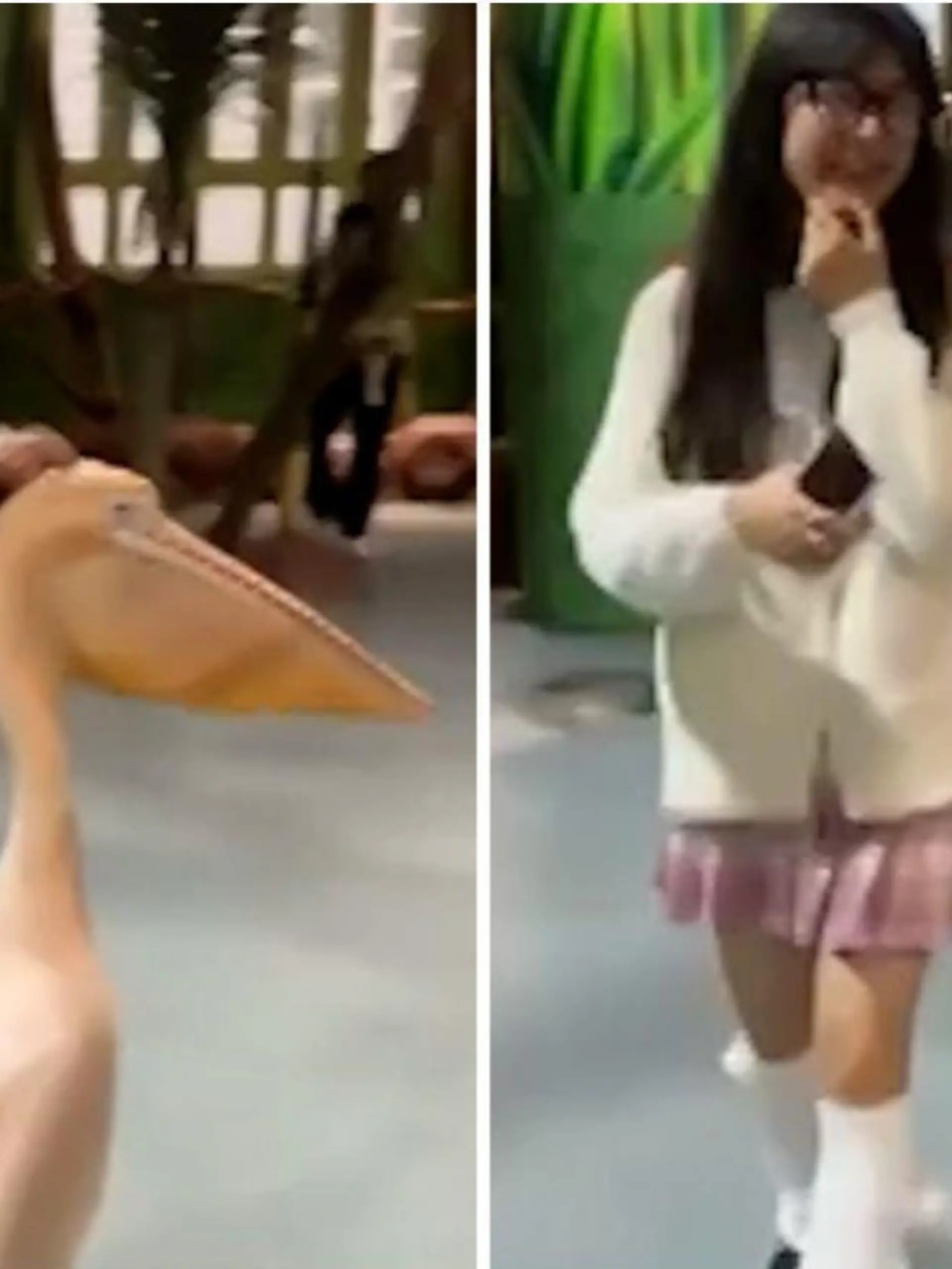 Frau besucht Zoo in China und wird dort von Pelikan verfolgt.