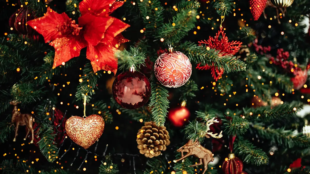 Tannenbaum mit Christbaumkugeln und Lichterkette.