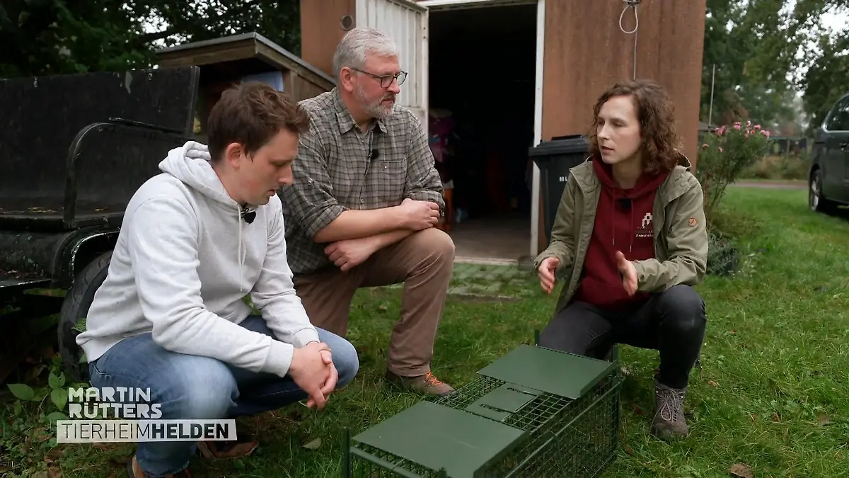 So fängt man Streunerkatzen ein Verlockung mit Thunfisch