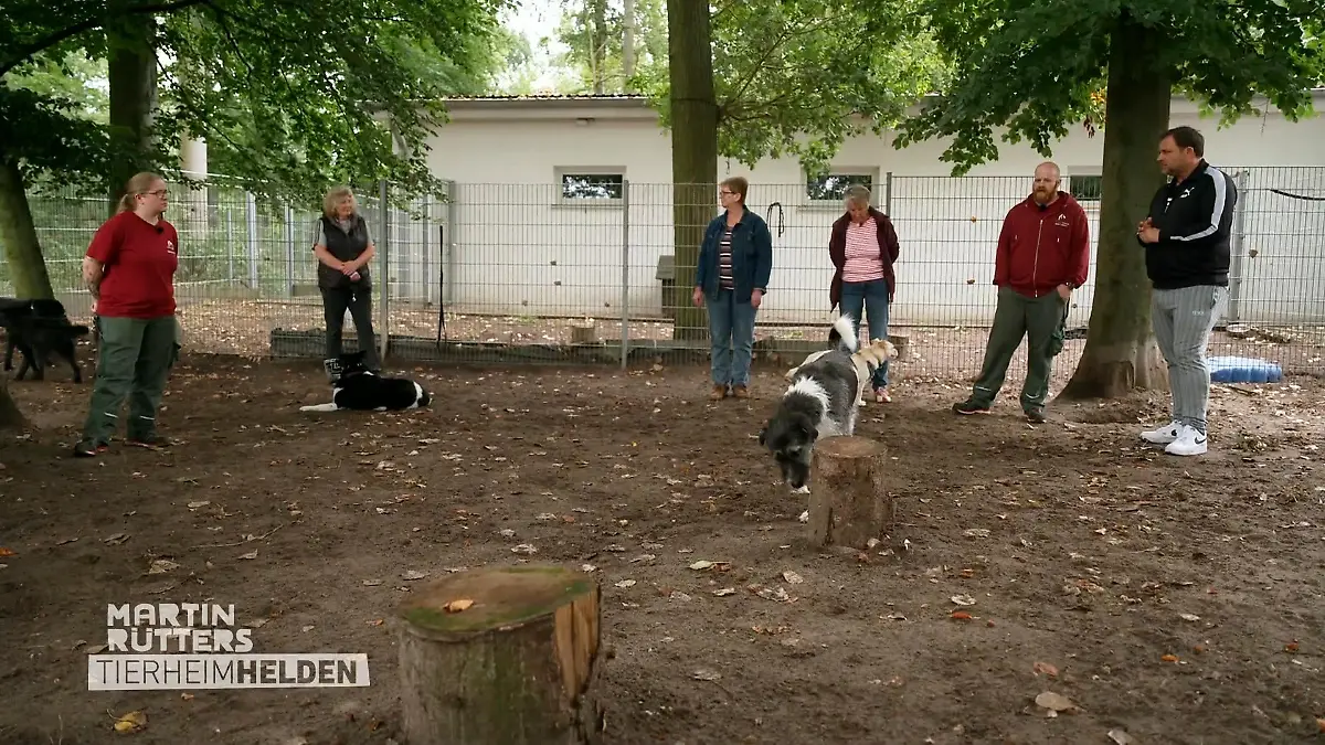 Hundespielplatz im Tierheim Lüneburg Martin Rütter ist begeistert