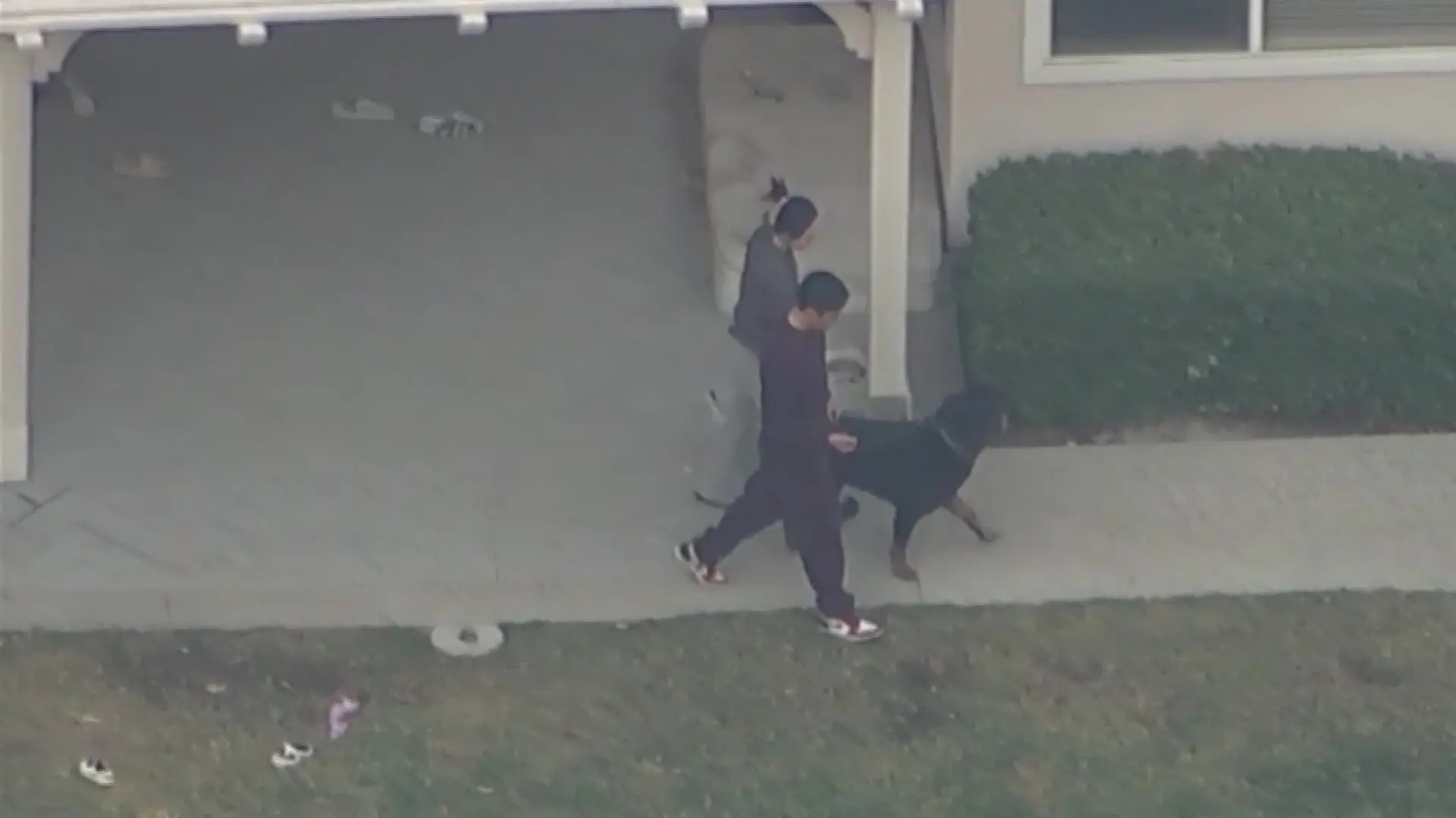 Unvorstellbar, aber in Kalifornien leider passiert – zwei große Rottweiler griffen im eigenen Zuhause ein Kind (5) an und töteten es. Videoaufnahmen zeigen die emotionalen Momente danach, als die Familie den Killer-Hunden gegenüber treten und sie der Polizei übergeben musste.