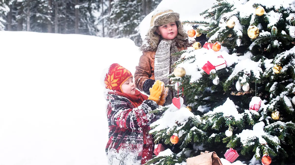 Siblings decorating Christmas tree in snow model released, Symbolfoto, HHF05944