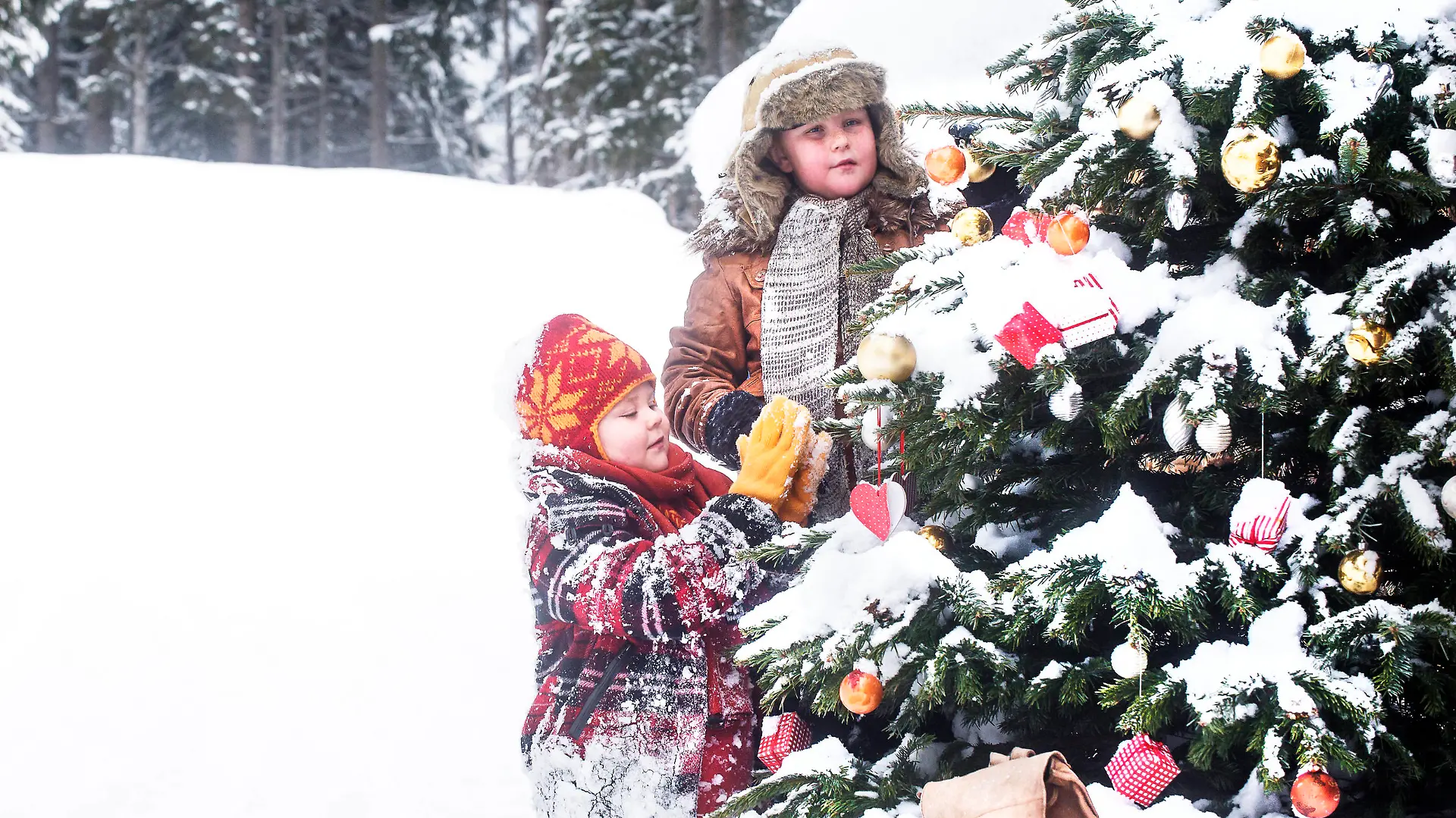Siblings decorating Christmas tree in snow model released, Symbolfoto, HHF05944