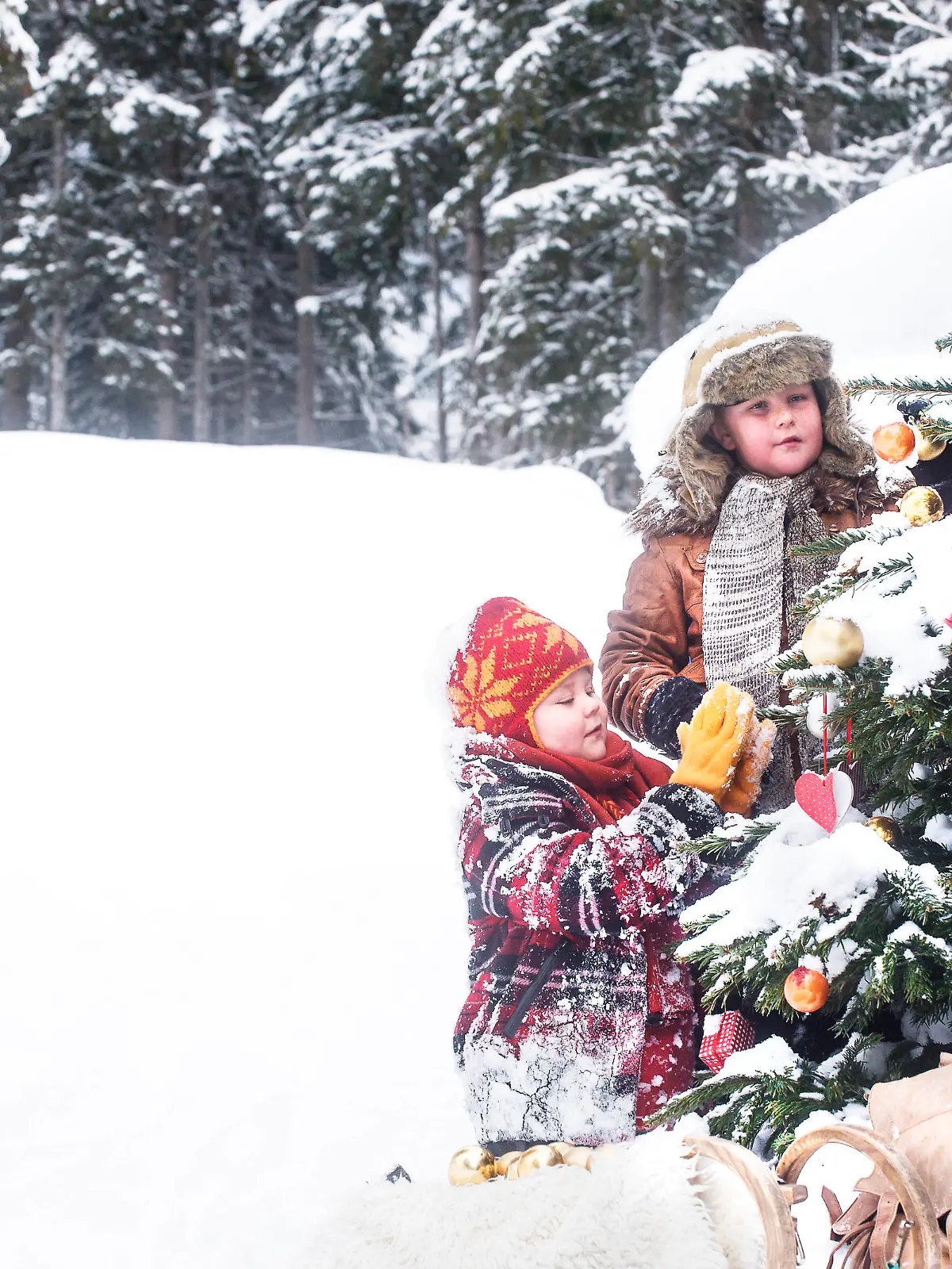 Siblings decorating Christmas tree in snow model released, Symbolfoto, HHF05944