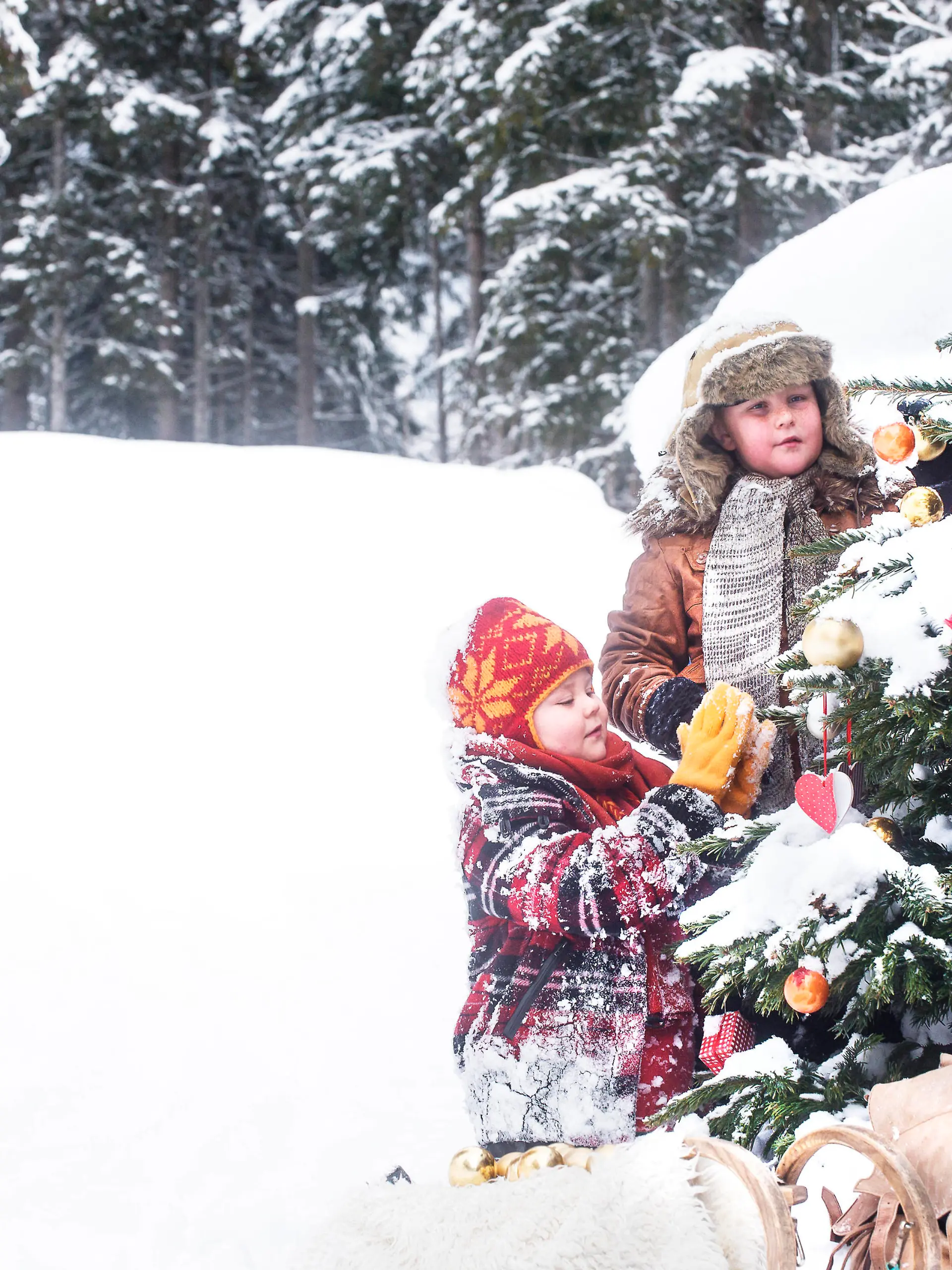 Siblings decorating Christmas tree in snow model released, Symbolfoto, HHF05944