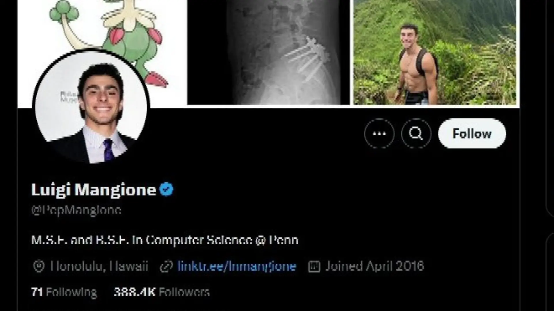 Das Netz ist voll mit Tweets, Postings und Videos über den mutmaßlichen CEO-Killer Luigi Mangione. Aber neben geschockten Reaktionen sammeln sich auch Fans der Tat – und seines Aussehens. Warum erfährt er einen Hype, während er wegen mutmaßlichen Mordes in Untersuchungshaft sitzt?