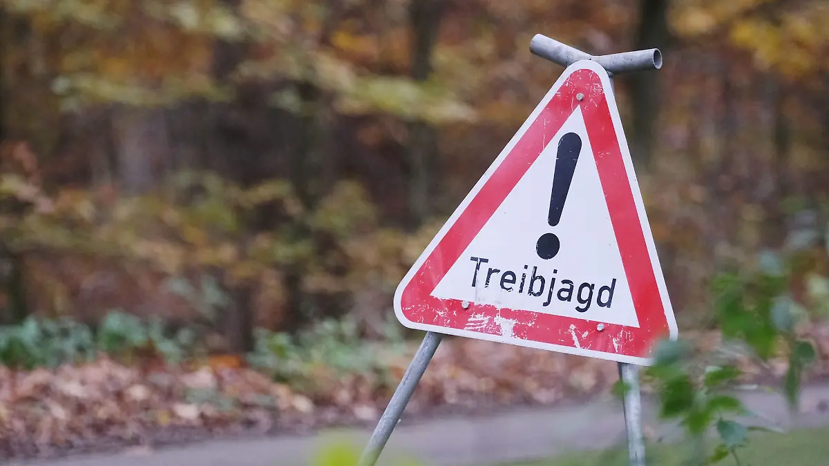 Eine unbeteiligte Frau wird bei einer Treibjagd angeschossen. (Symbolbild)