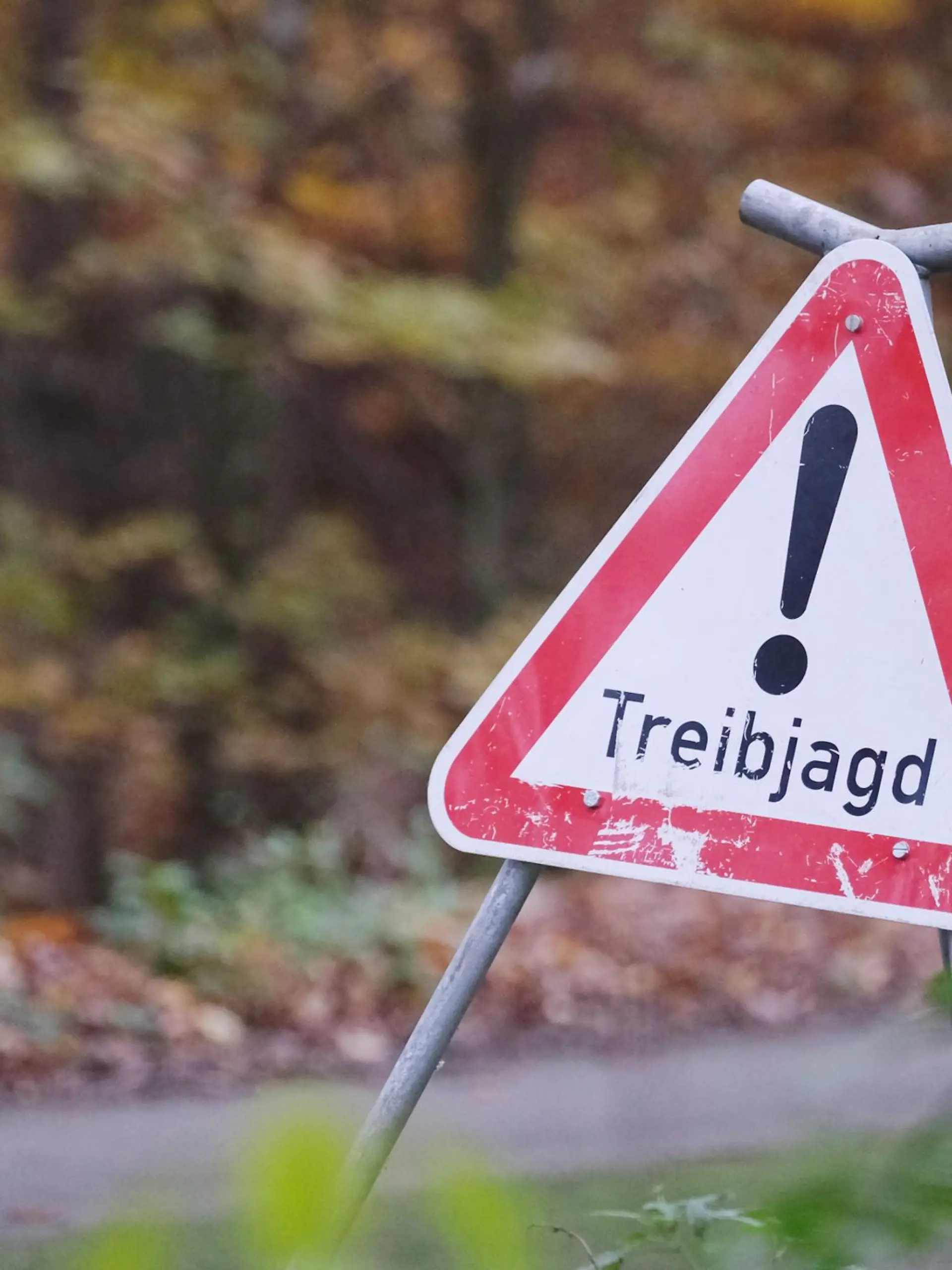 Bild zu: "Frau (59) mit Schrotgewehr angeschossen!"