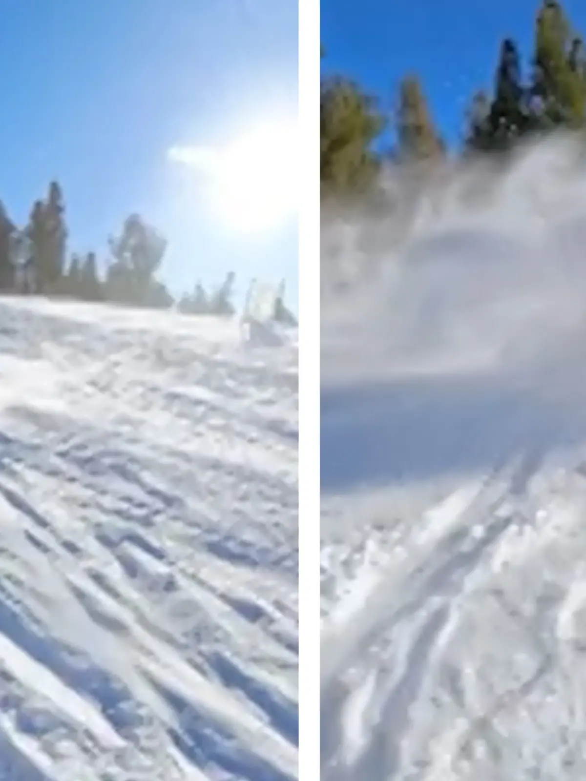 Panik auf der Piste! Bär crasht in Snowboarder
