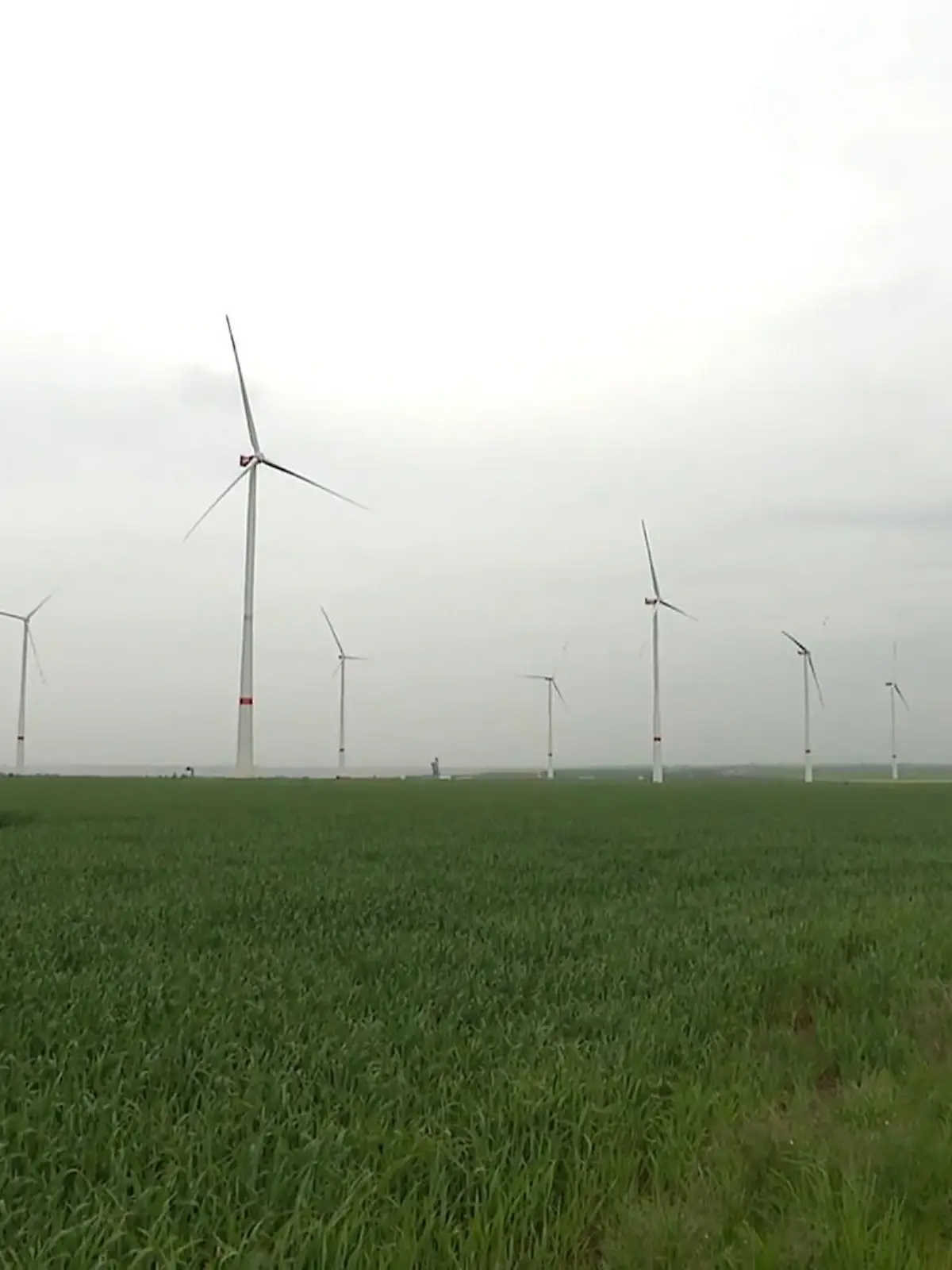 Bild zu: "Wenig Wind und Sonne"