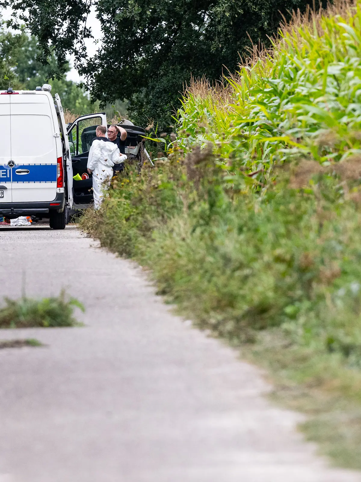 Nordrhein-Westfalen, Gronau: Polizeibeamte der kriminaltechnischen Untersuchungsstelle (KTU) stehen am Rande eines Maisfeld, wo zwei vergrabene männliche Leichen gefunden wurden.