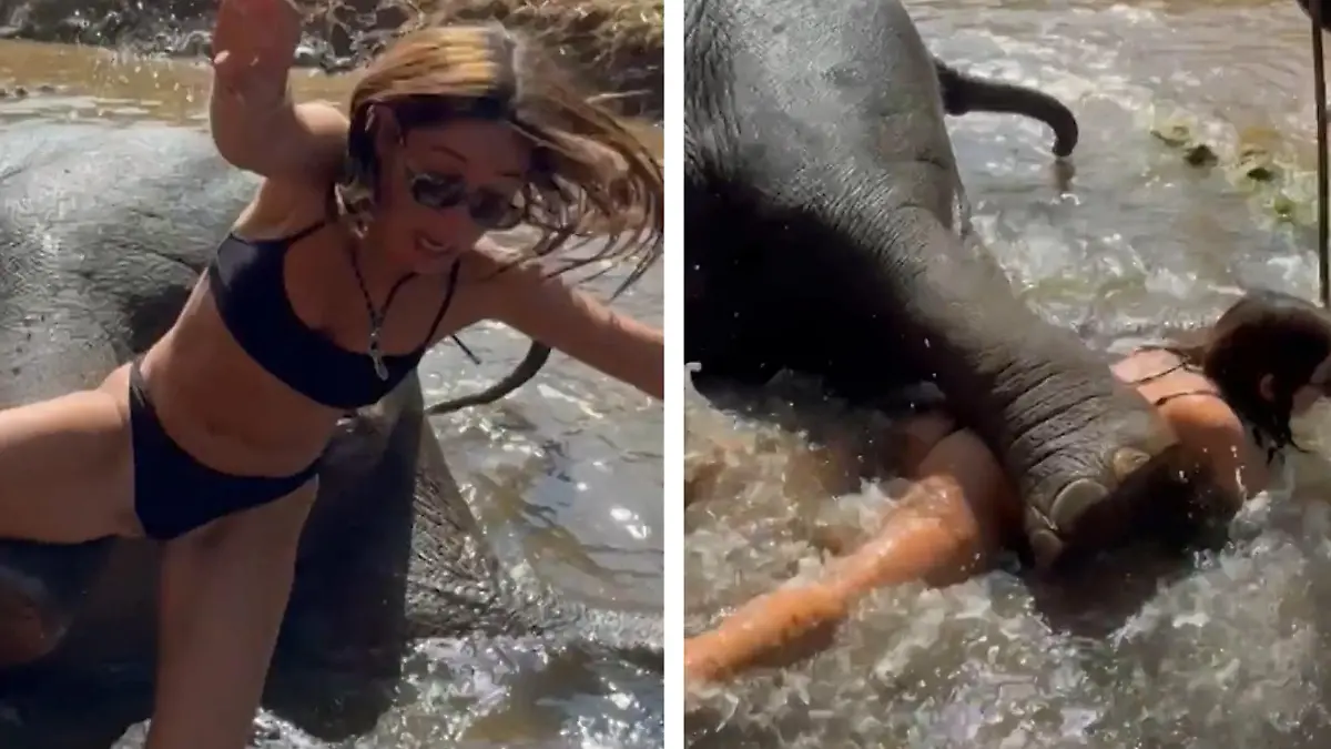 Plötzlich liegt sie unter ihm! Elefant kickt Bikini-Touristin um