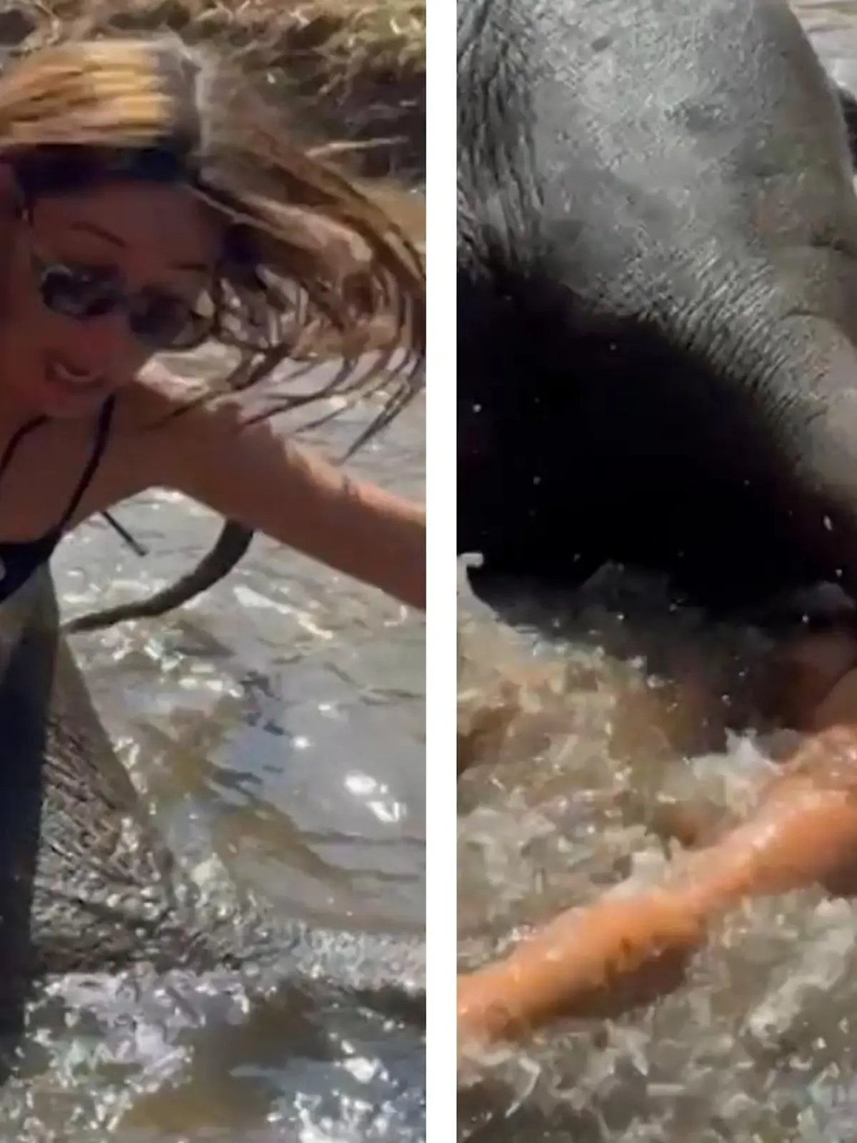 Er will nur seine Ruhe! Elefant kickt Bikini-Touristin um