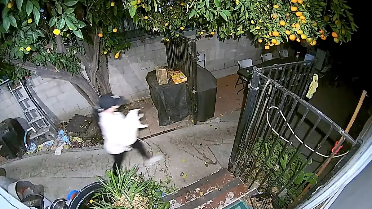 Eine Überwachungskamera zeichnet den dreisten Diebstahl in Los Angeles auf.