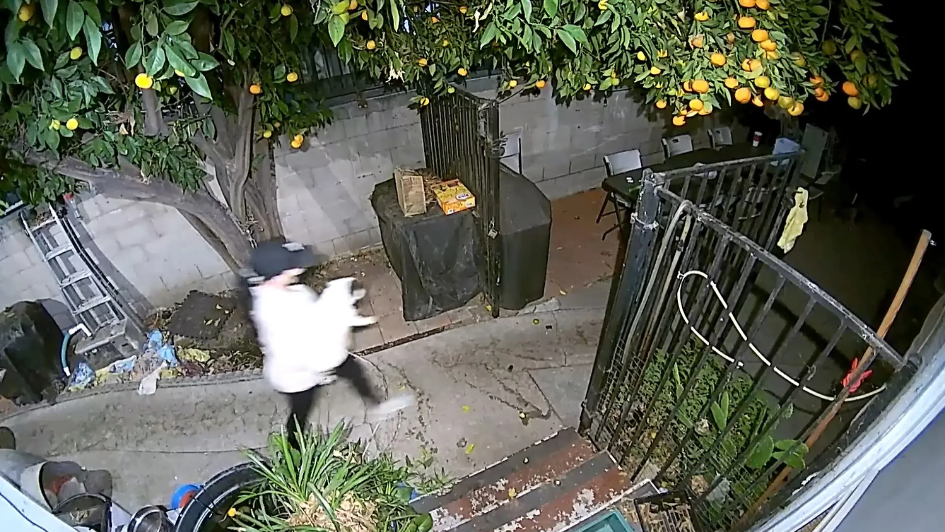 Eine Überwachungskamera zeichnet den dreisten Diebstahl in Los Angeles auf.