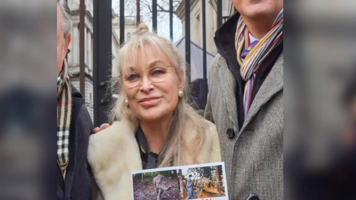 Carol Royle wurde durch die britische Sendung „Coronation Street” bekannt.
