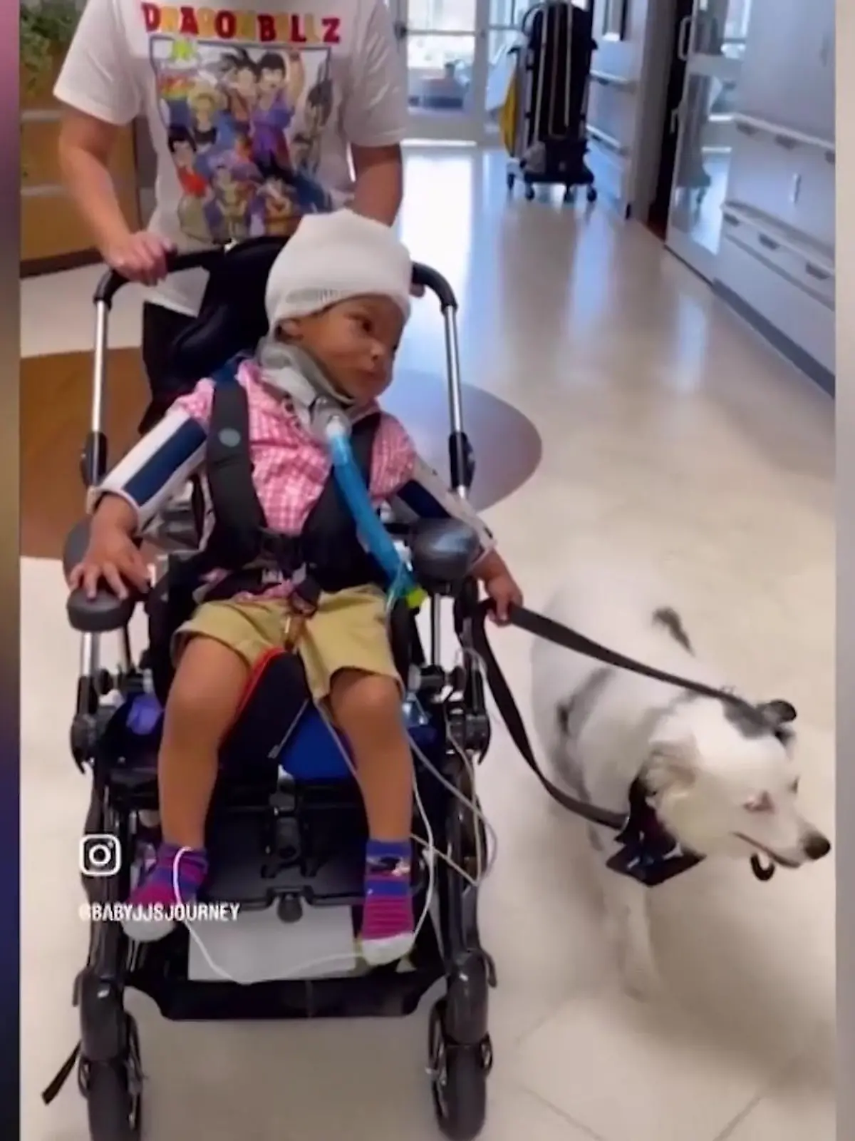 JJ aus Oklahoma wurde vom Nachbarshund schwer verletzt und musste zwölf Mal operiert werden. Jetzt kämpft er sich zurück und findet dank eines Therapiehundes auch wieder Vertrauen zu Vierbeinern.