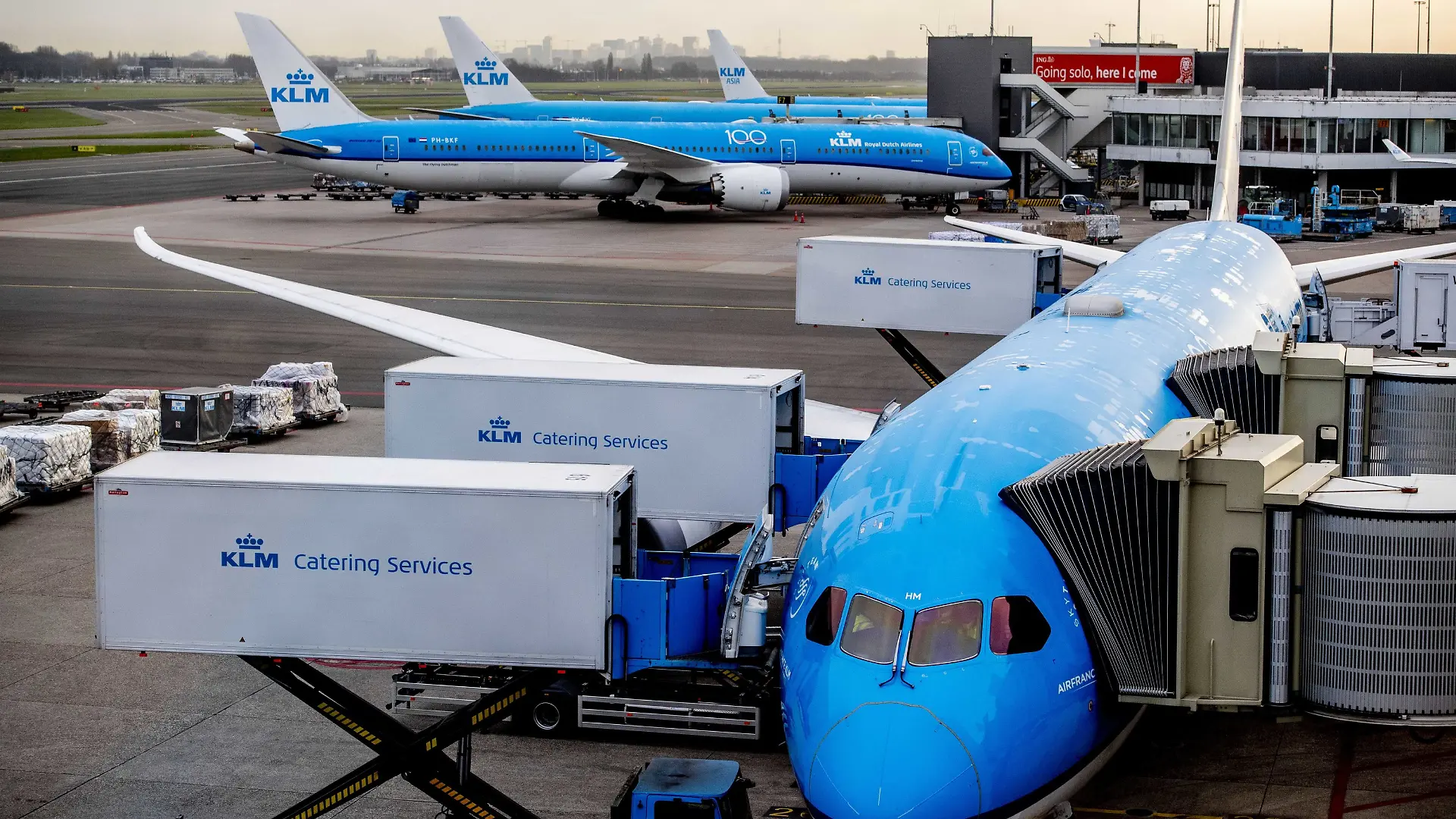 Die Passagiere von Flug KL685 werden diese Reise dank eines unvergesslichen Schweinegeruchs sicher nicht so schnell vergessen.
