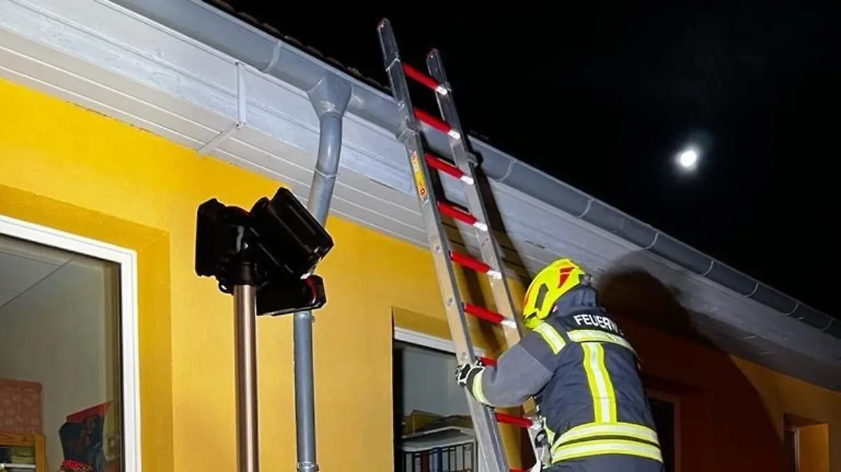 Die Feuerwehr Rhumspringe rettet ein Baby-Marder aus einem Dachkasten befreien.