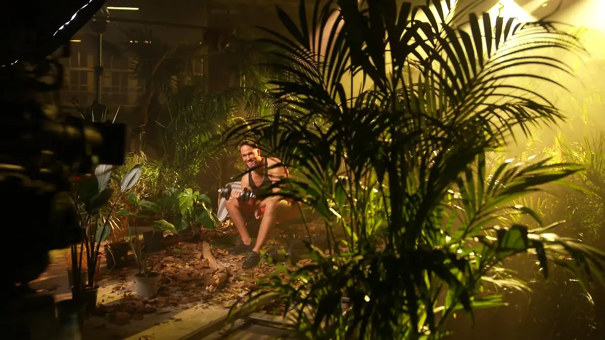 Diese zwei Stars ziehen ins Dschungelcamp 2025 Es geht wieder los da rein!