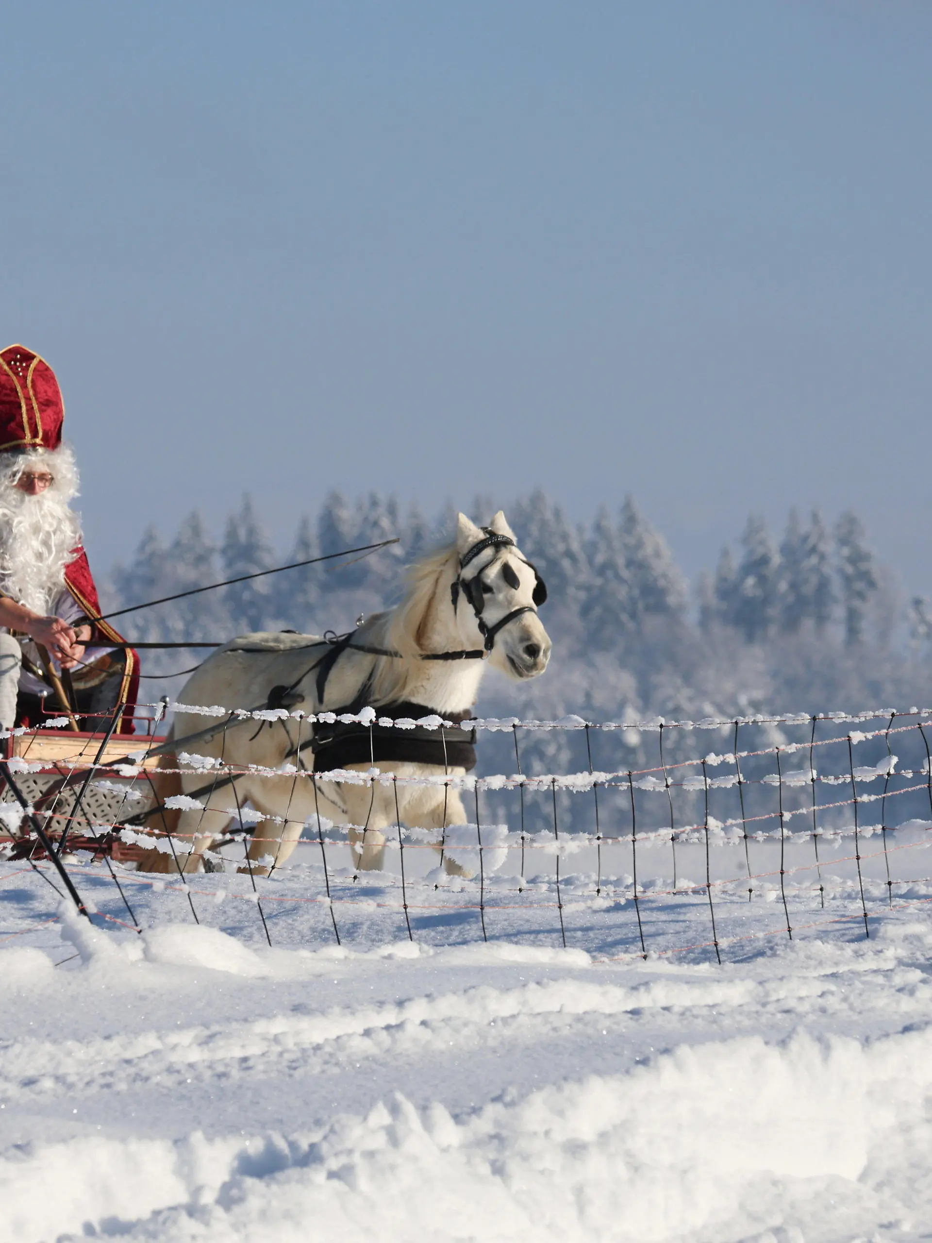 ARCHIV - 03.12.2023, Baden-Württemberg, Bad Saulgau: Ein als Nikolaus verkleideter Mann ist mit einer von einem Pony gezogenen Kutsche am ersten Advent zu einer Nikolausfeier unterwegs.  (zu dpa: «Leise rieselt der Schnee? - Weiße Weihnachten immer seltener») Foto: Thomas Warnack/dpa +++ dpa-Bildfunk +++