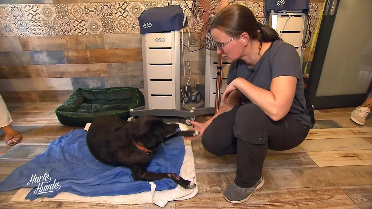 Annett startet Rettungsaktion in Polen Notfall Melissa