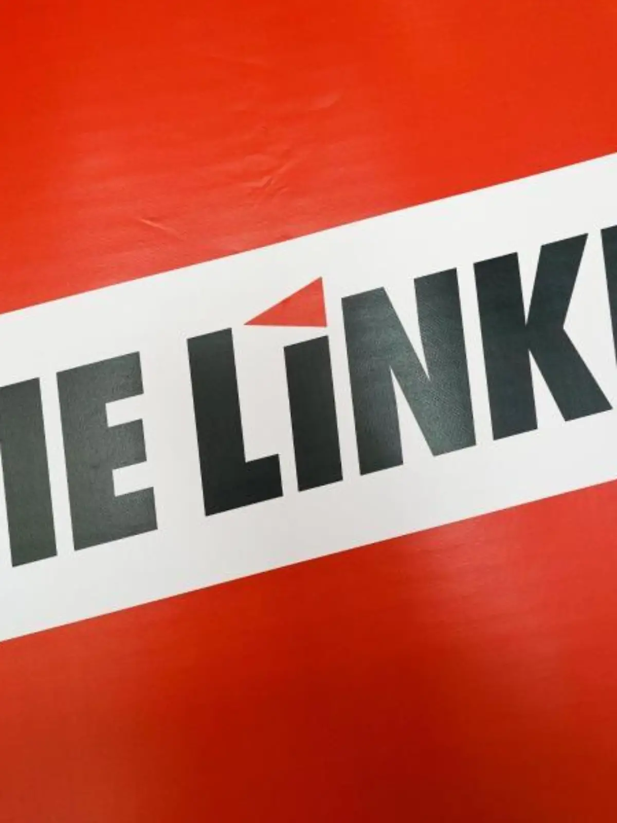 Die Linke