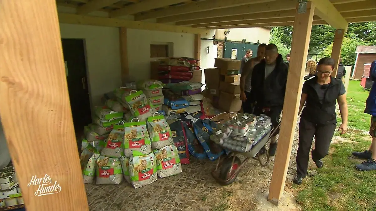 Doch für Ralf und sein Team gibt es keine Pause Spenden für den Tierschutz