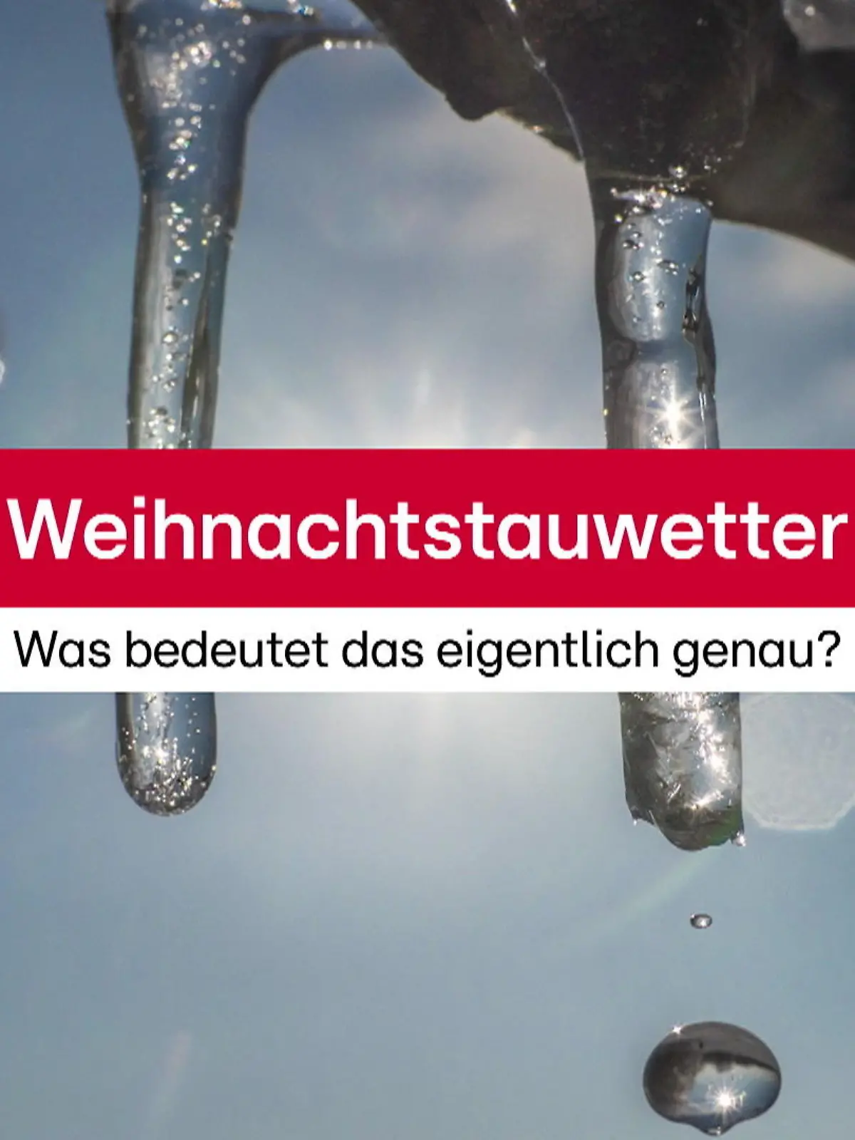 Bild zu: "Was bedeutet das eigentlich genau?"
