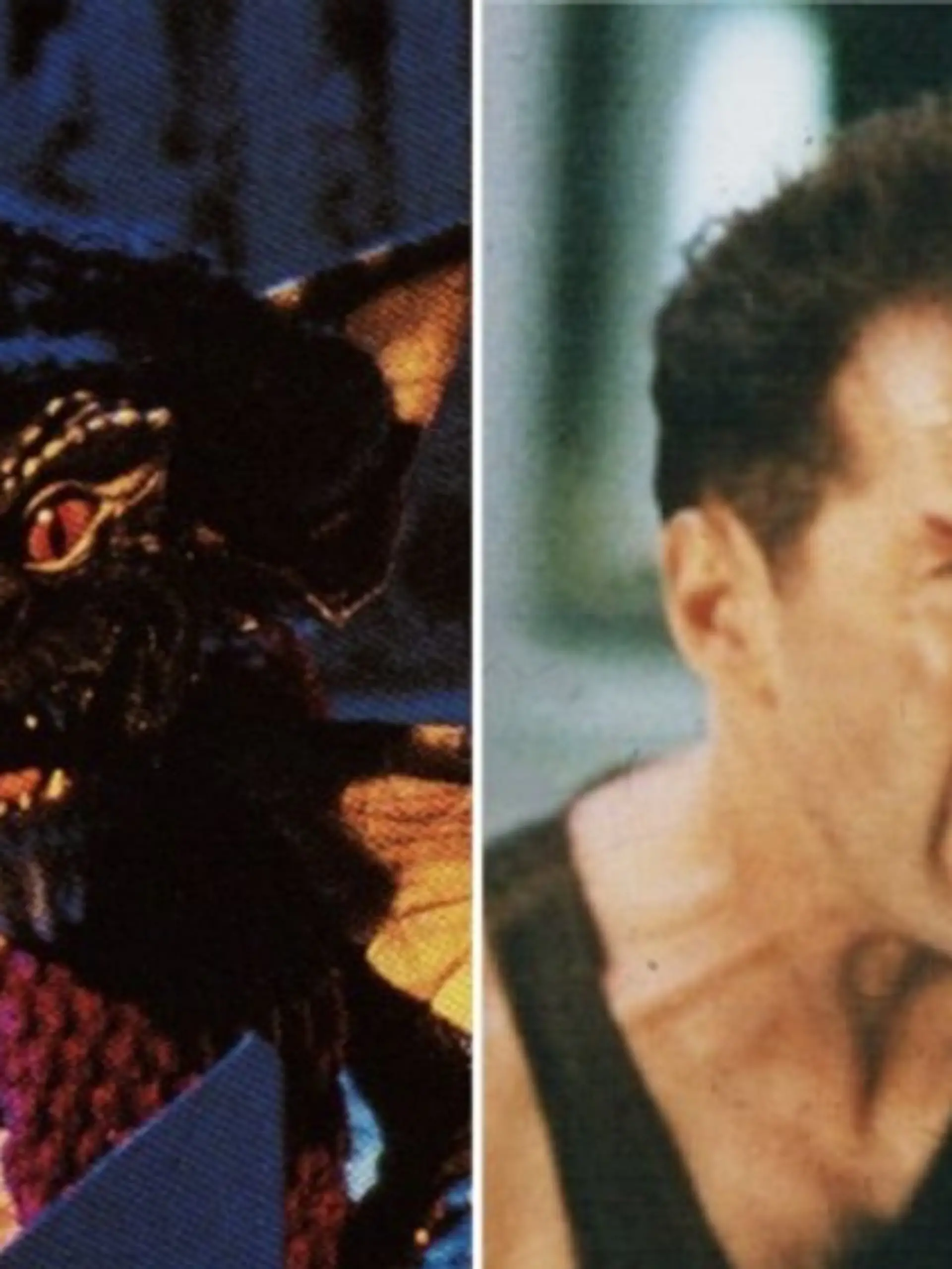 Zwei Kultfilme aus den 80er Jahren: „Gremlins - Kleine Monster” und „Stirb langsam” mit Bruce Willis.