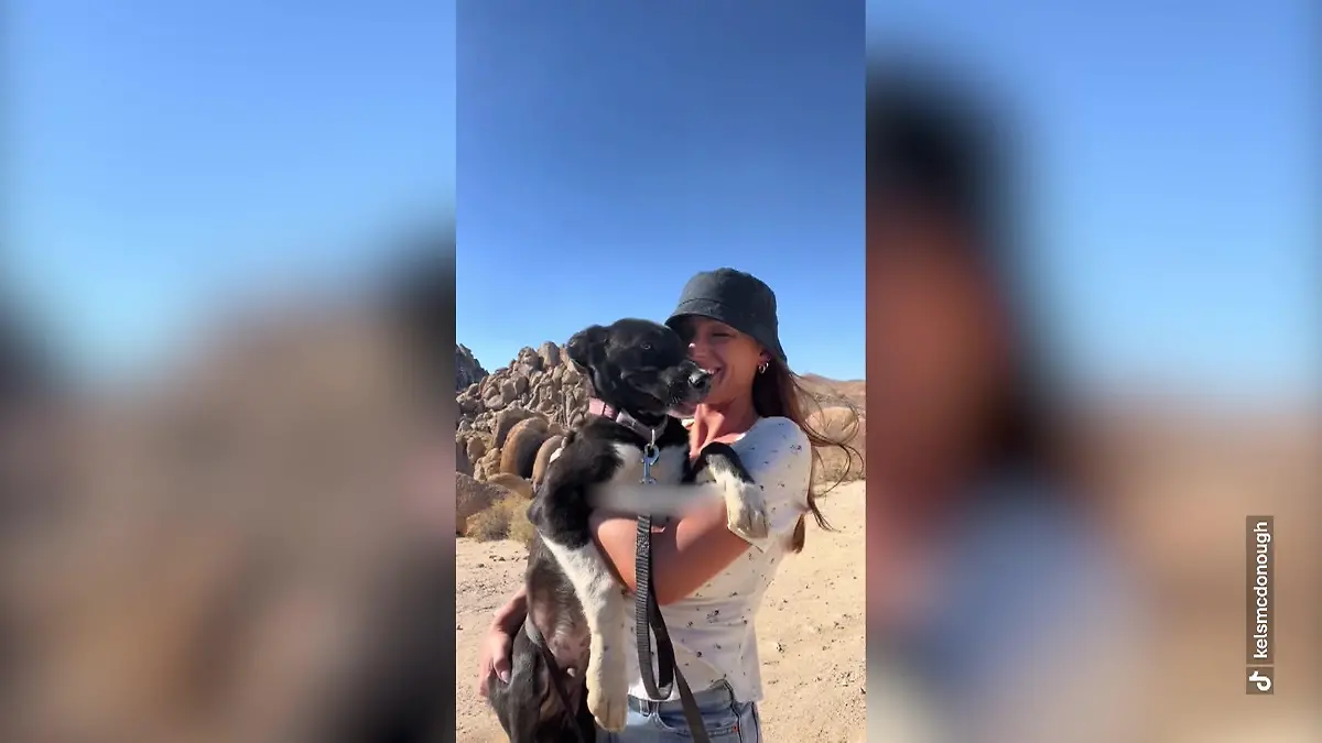 ,,Liebe heilt": Frau nimmt Hund mit auf Reisen - um sein Trauma zu brechen