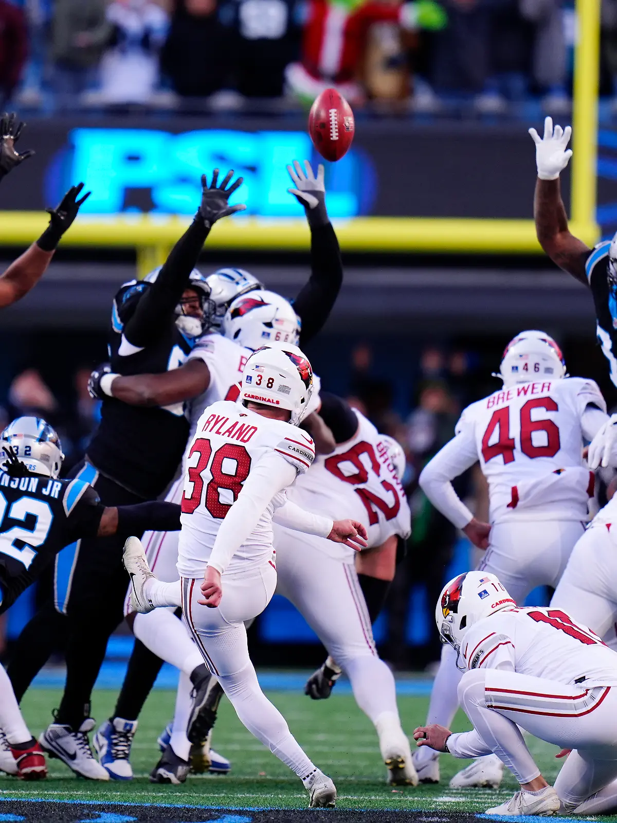 Bild zu: "Panthers boxen Cardinals aus dem Playoff-Rennen"