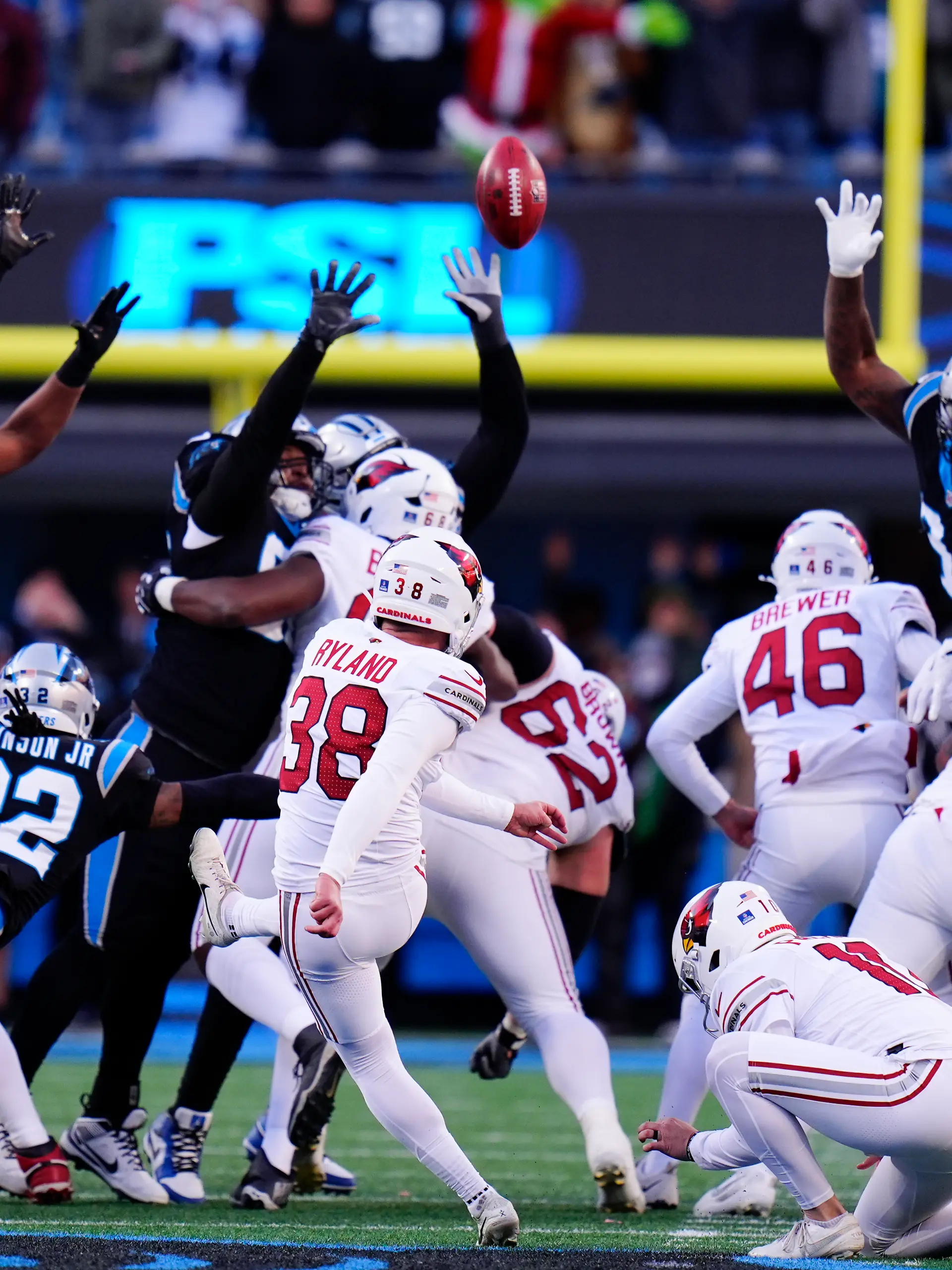 Bild zu: "Panthers boxen Cardinals aus dem Playoff-Rennen"