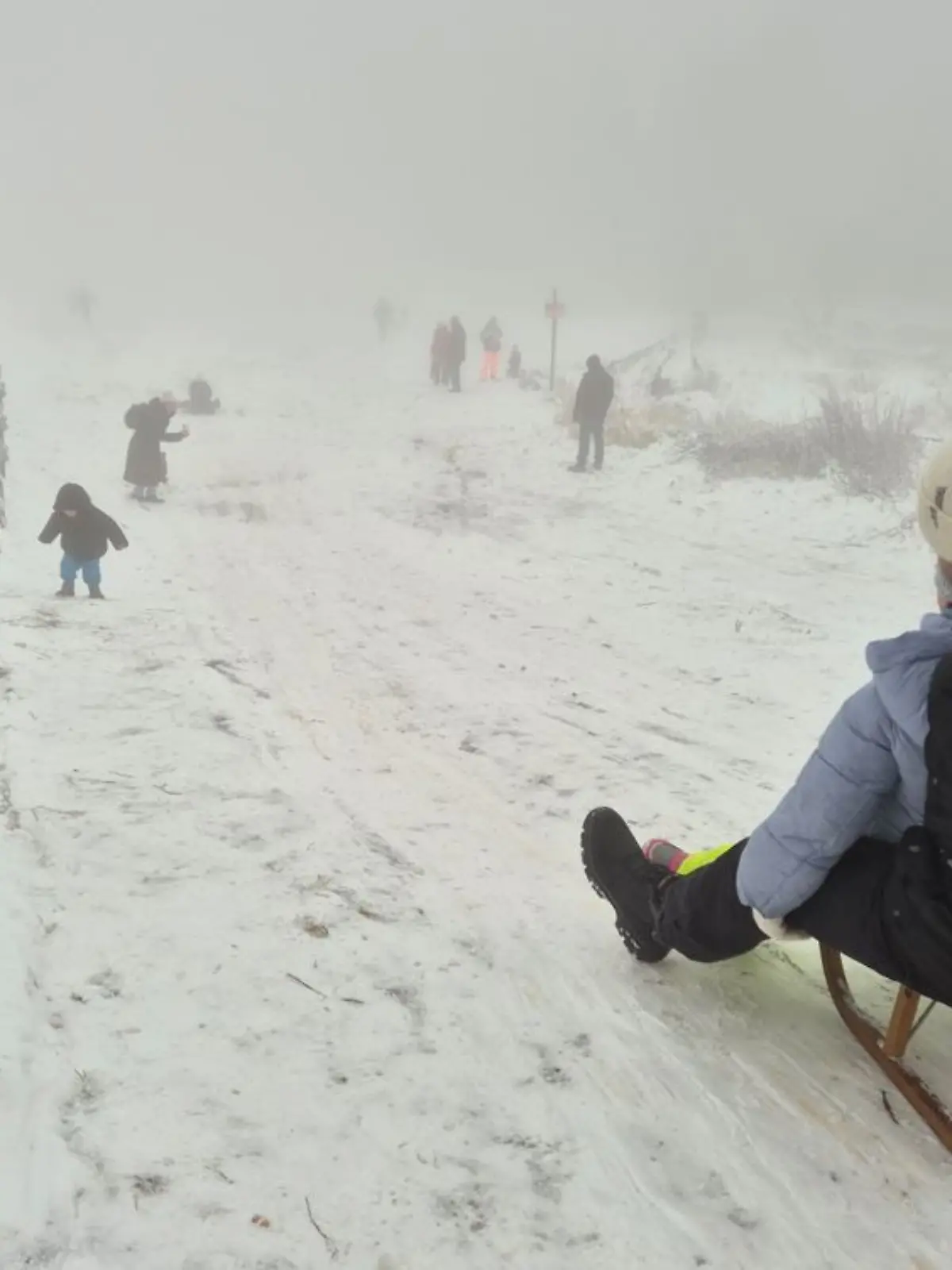 Schnee und Schlittenfahren - so macht die Winter-Weihnachtszeit besonders viel Spaß!