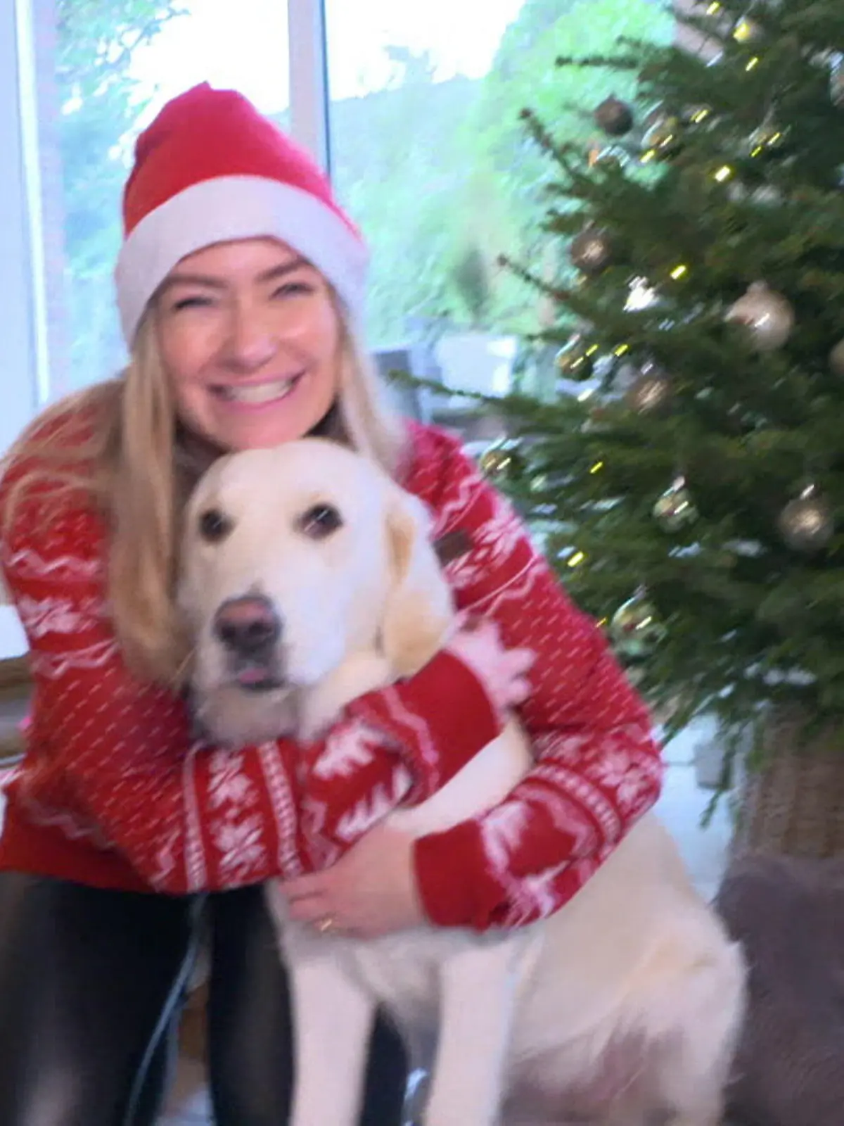 Bild zu: "Last-Minute-Geschenke für Hund und Katze? Darüber freut sich euer Haustier ganz sicher!"