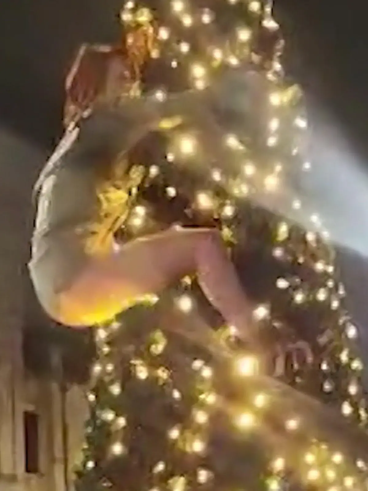 Bild zu: "Abfahrt mit dem POlarexpress! Frau besteigt Weihnachtsbaum – und zieht blank"