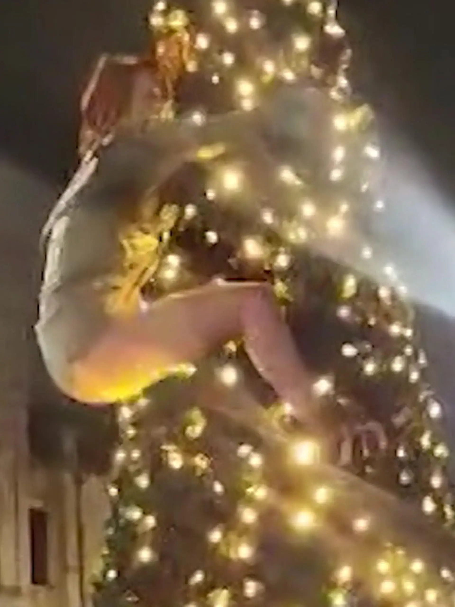 Bild zu: "Abfahrt mit dem POlarexpress! Frau besteigt Weihnachtsbaum – und zieht blank"