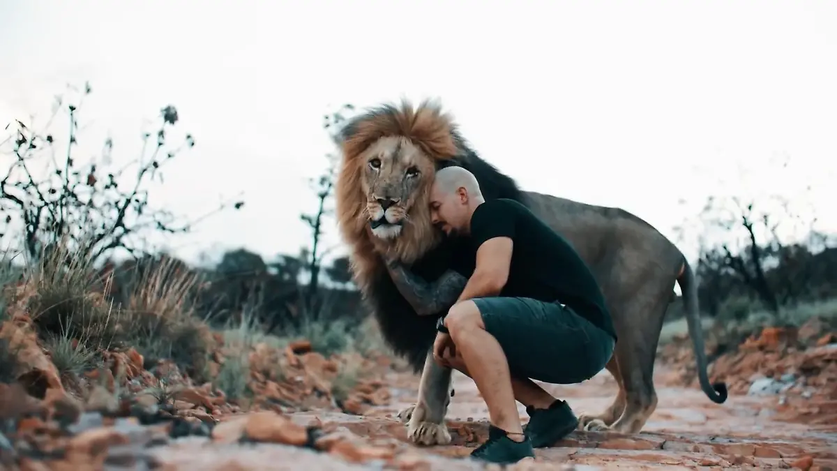 Hat er vor nichts Angst?: Er ist der König der Löwen! Dean kuschelt mit