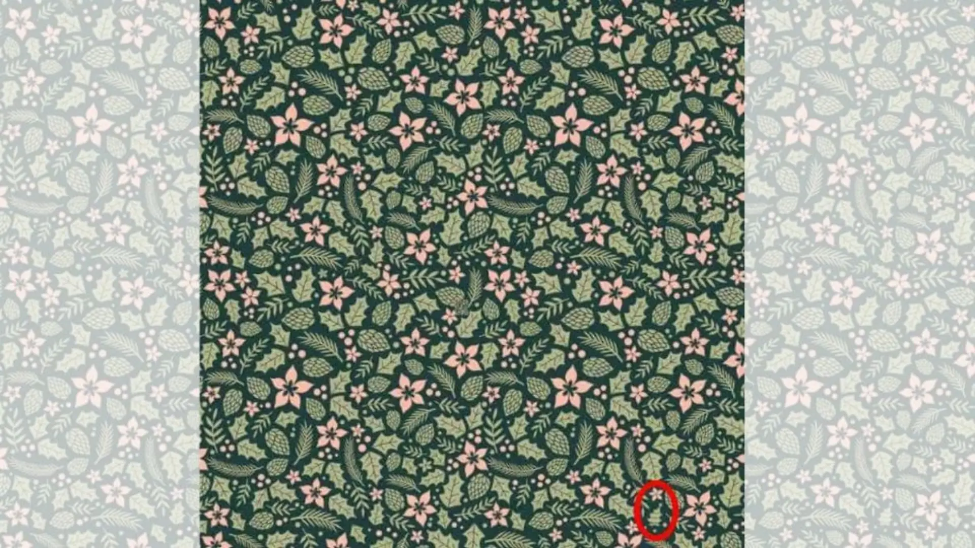 Suchbild Auflösung: Hier versteckt sich der Tannenbaum.