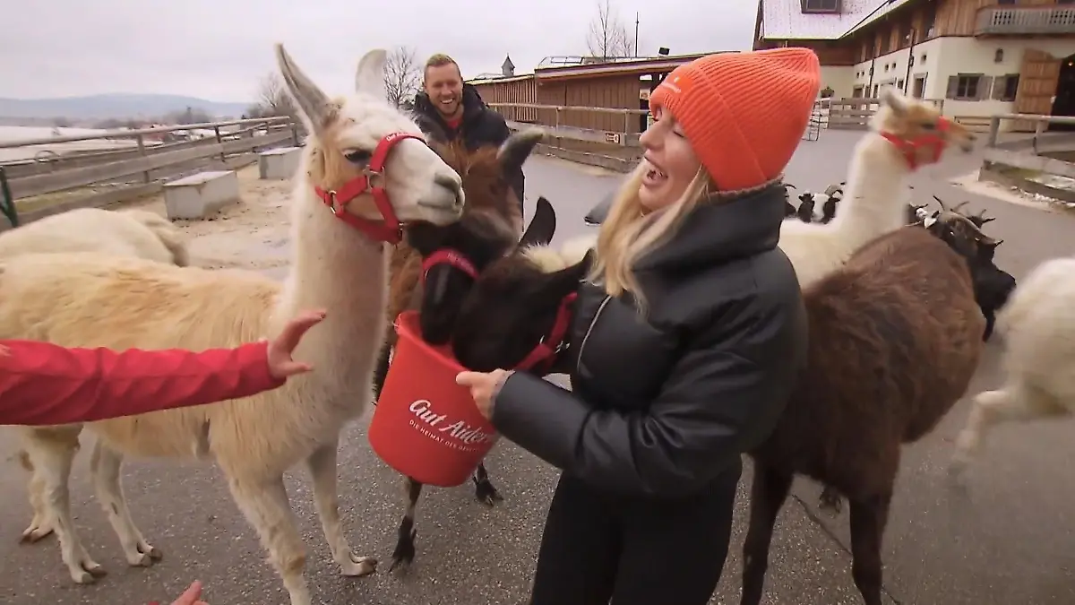 Bauer Patrick und Antonia haben sichtlich Spaß mit den Lamas auf Gut Aiderbichl.