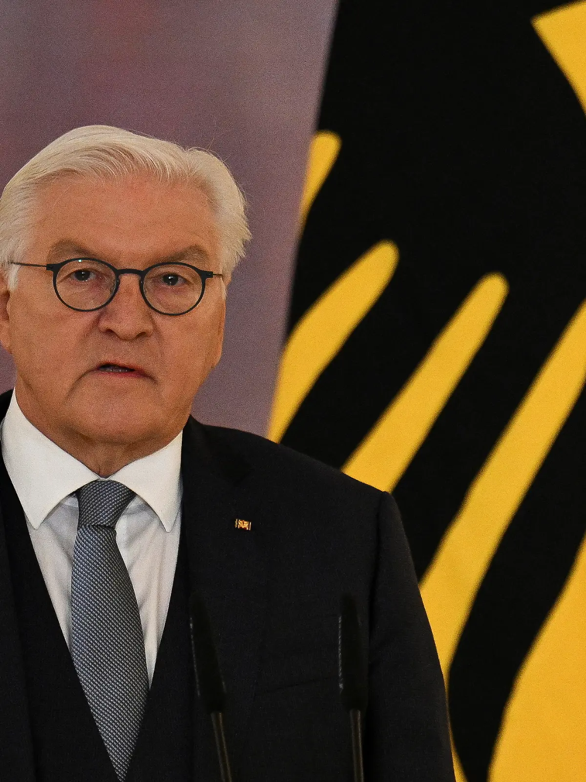 Bundespräsident Frank-Walter Steinmeier