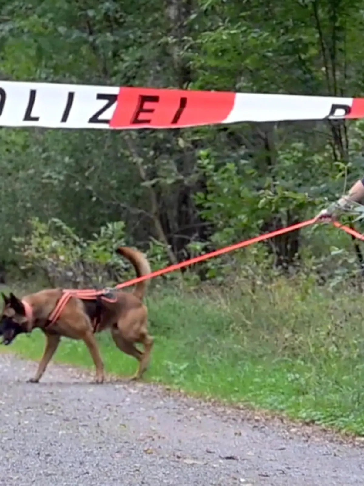 Polizistin mit Spürhund im Lampertheimer Wald