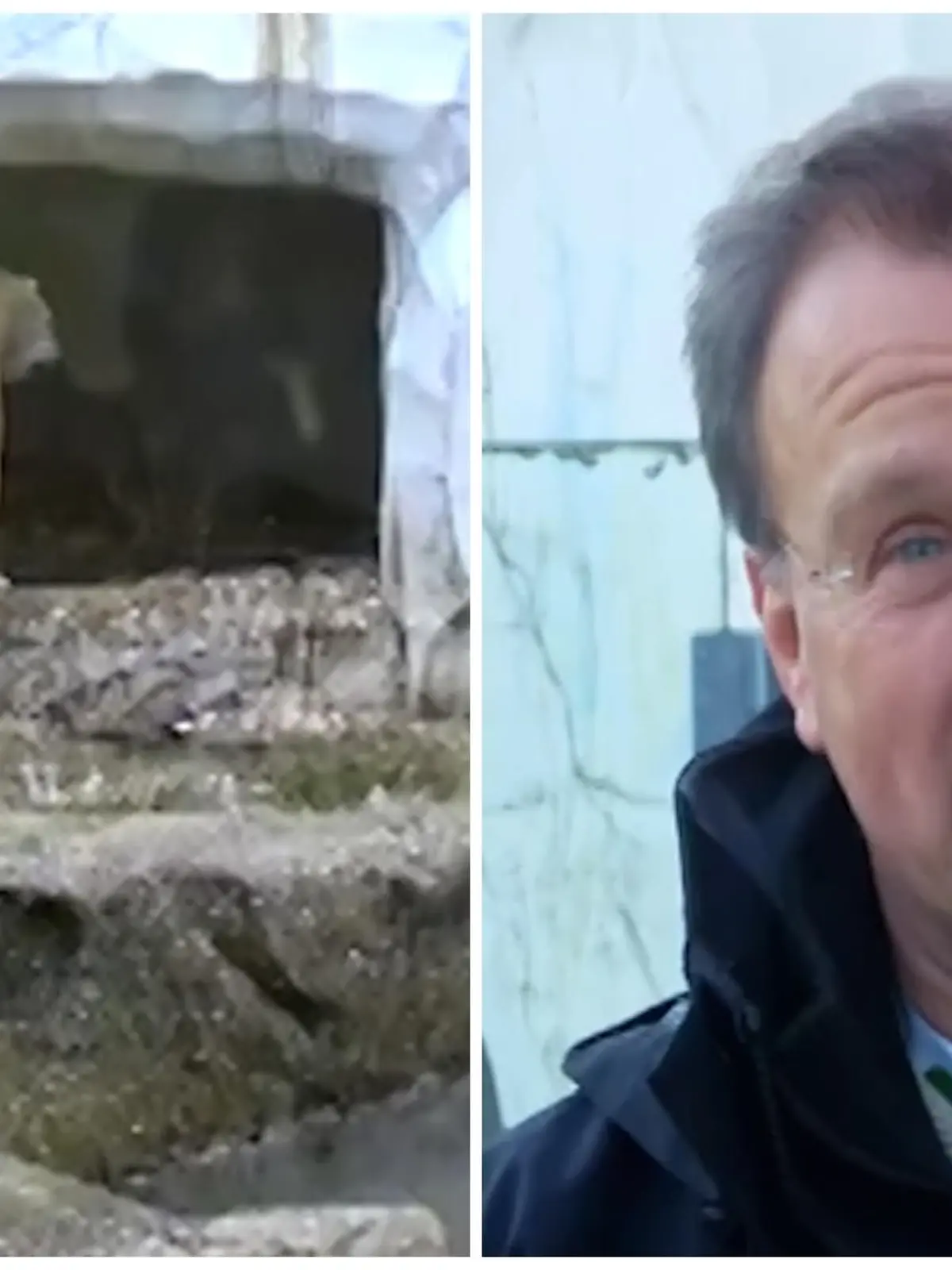 Bild zu: "Zoo Karlsruhe hat dringende Bitte an Böller-Fans"