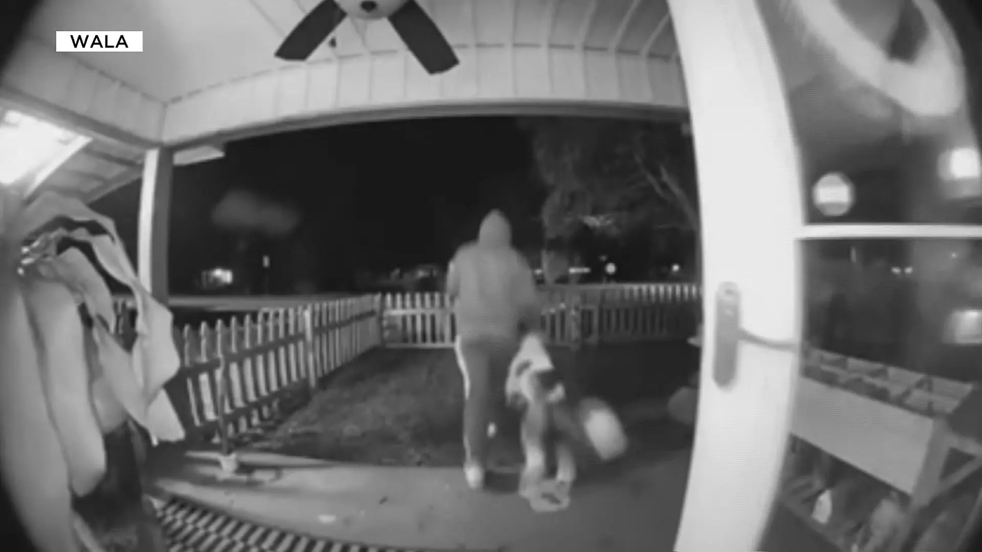 Ein fremder Mann klaut den Englischen Schäferhund Rags.