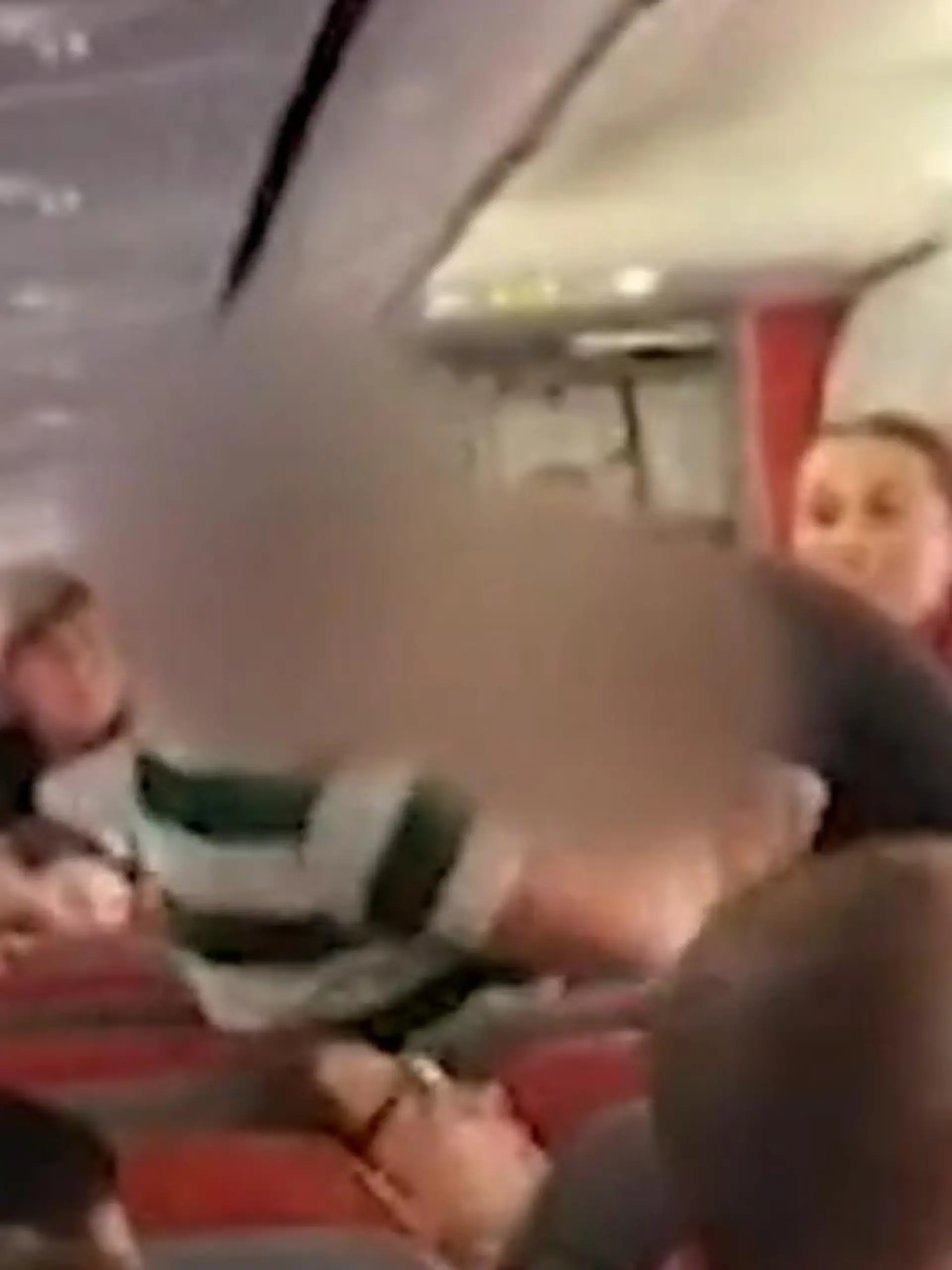 Bild zu: "Hier fliegen nur Fäuste und Zähne! Prügel-Passagiere zwingen Flugzeug zur Notlandung"