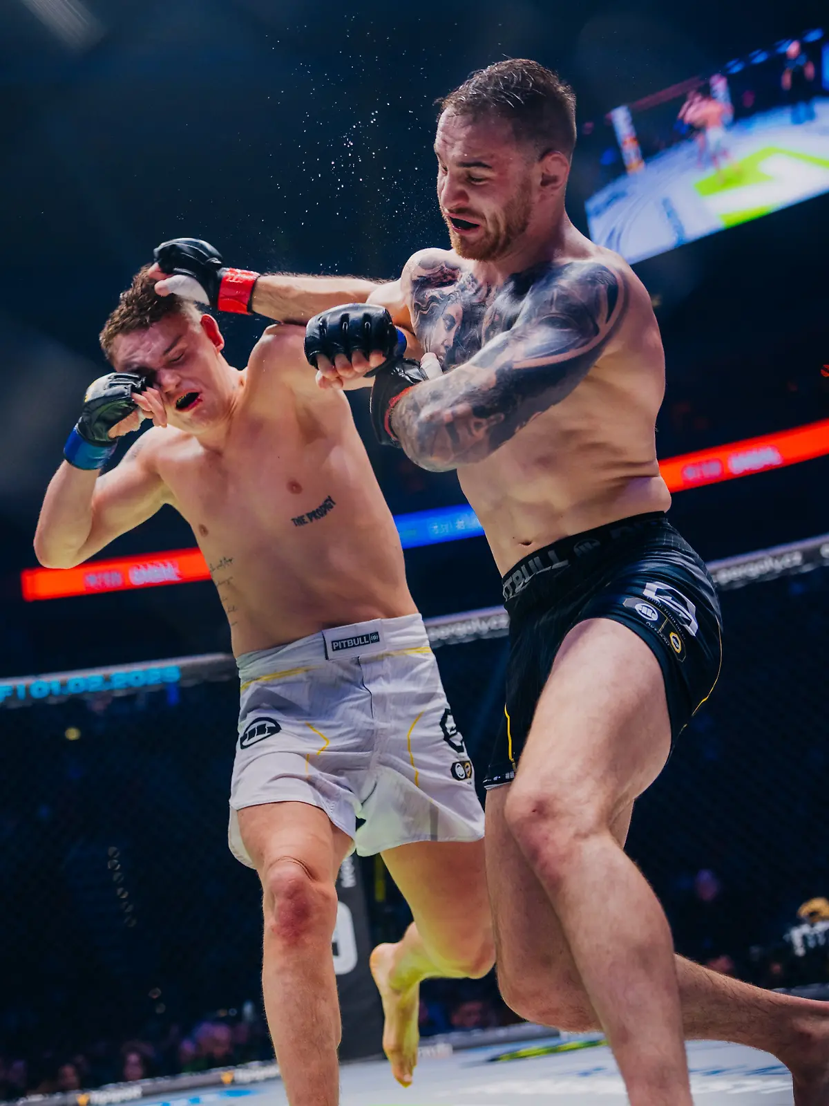 Benny Bajrami (l.) hier im Fight mit Peter Gabal